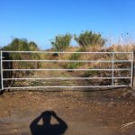 555980700_10230681953372806_7261556686365675130_n